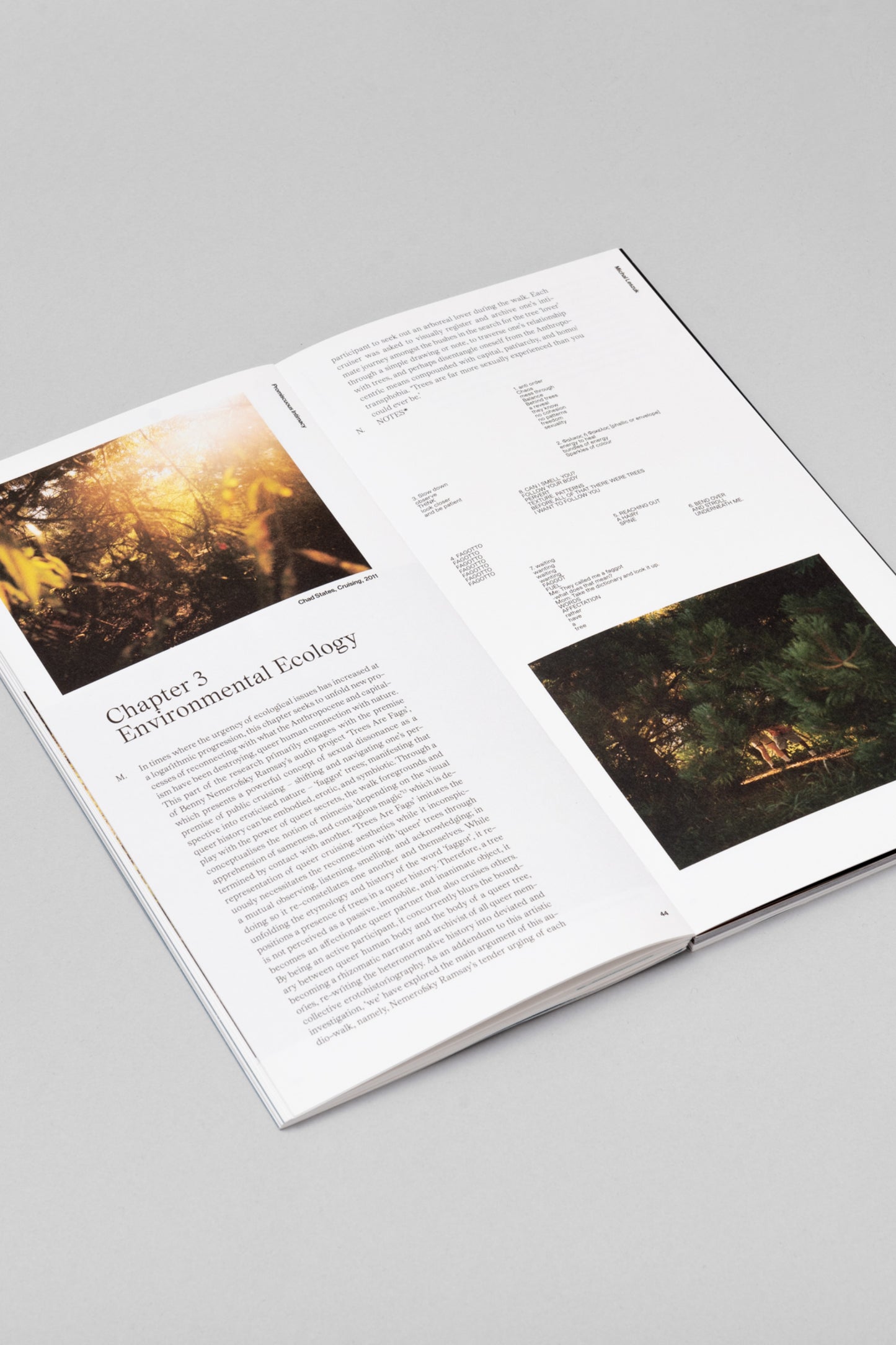 NOIA Issue 2: Reassemblage