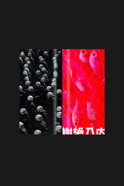 NOIA Issue 3: States - PDF Digital Version