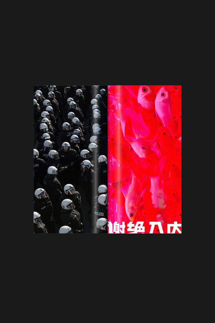NOIA Issue 3: States - PDF Digital Version