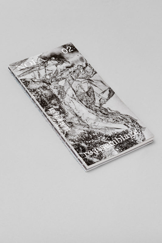 NOIA Issue 2: Reassemblage