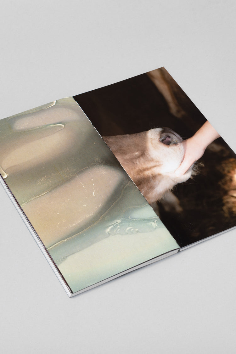 NOIA Issue 2: Reassemblage